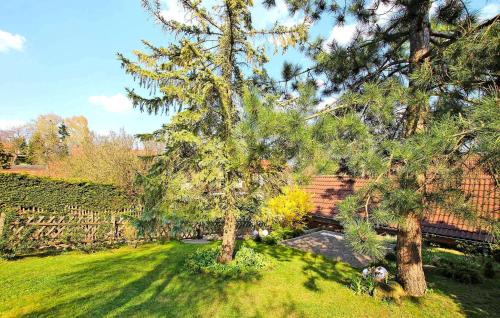 Flecken Zechlin Apartment | Ferienwohnung Rheinsberg