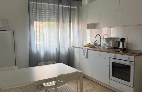 Mainz-Bingen Apartment | Ferienwohnung Rheinglück