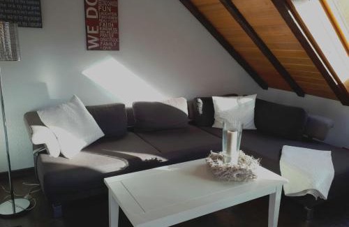 Usseln Apartment | Ferienwohnung Ruhenest