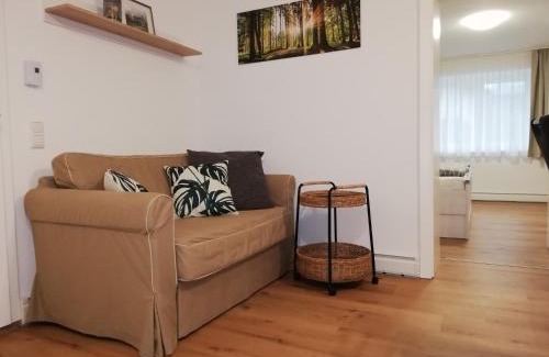 Aurach am Hongar Apartment | Ferienwohnung Schmied 1