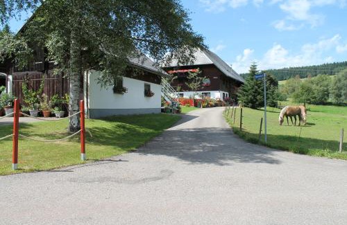 Schwarzenbach Apartment | Ferienwohnung Schwarzwaldhof