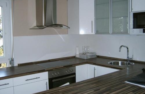 Auerbach Apartment | Ferienwohnung Schlossblick
