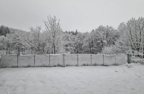Willingen Apartment | Ferienwohnung Schneeberg