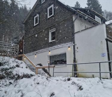 Willingen Apartment | Ferienwohnung Schneeberg