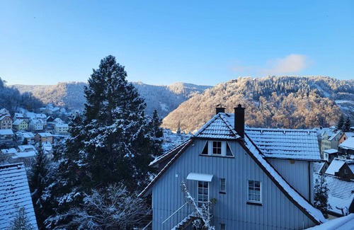 Schramberg Apartment | Ferienwohnung "schwarzwaldblick "