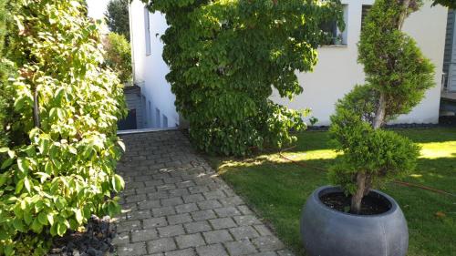 Singen Apartment | Ferienwohnung Schwartz
