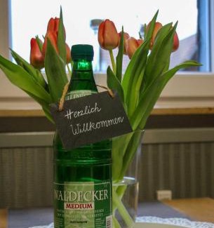 Hemfurth-Edersee Apartment | Ferienwohnung Seerose