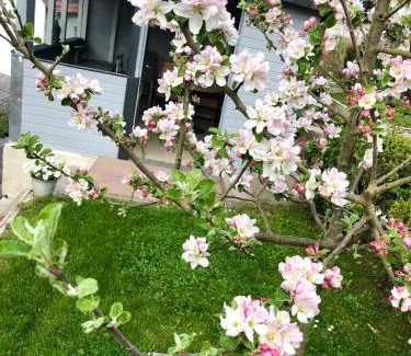 Hemfurth-Edersee Apartment | Ferienwohnung Seerose