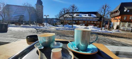 Schluchsee Apartment | Ferienwohnung Seelust