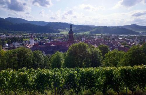 Gengenbach Apartment | Ferienwohnung Sester