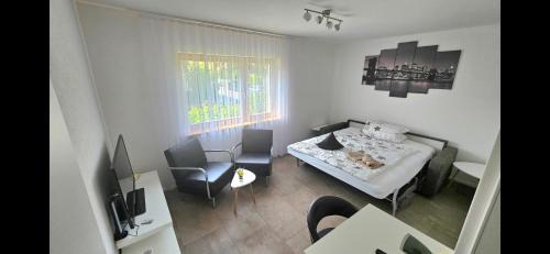 Bad Saeckingen Apartment | Ferienwohnung Sheni