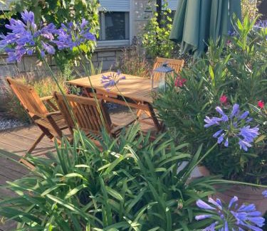 Oberloßnitz Apartment | Ferienwohnung Sonja am Weinberg