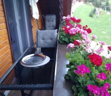 Oberharmersbach Apartment | Ferienwohnung Sonnenblick