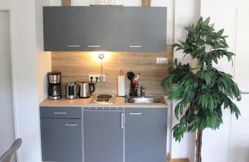 Stryck Apartment | Ferienwohnung-Sonnenblick-Willingen