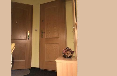 Stadtmitte Apartment | Ferienwohnung Sprenger Objekt 25