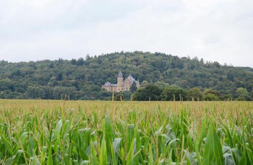 Grebendorf House | Ferienwohnung Storchenblick