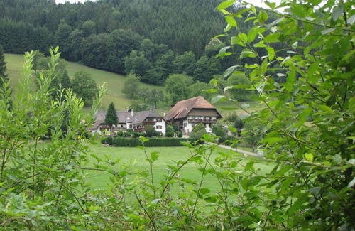 Seelbach Apartment | Ferienwohnung "Talblick", 90qm, 1 Schlafzimmer, max. 4 Personen