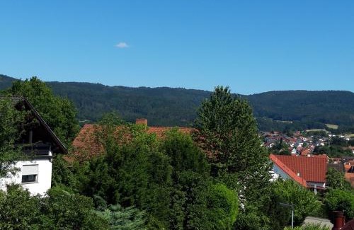 Rimbach Apartment | Ferienwohnung Trommblick - Natur Pur - Rimbach im Odenwald