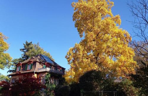 Muellheim Apartment | Ferienwohnung Unterm Tulpenbaum