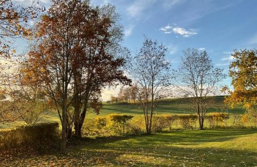 Balm Apartment | Ferienwohnung Werth am Balmer See