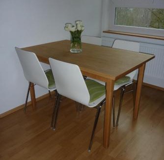 Lichtenegg Apartment | Ferienwohnung Willner