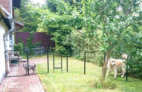 Zorge Apartment | Ferienwohnung Wolf mit Kaminofen