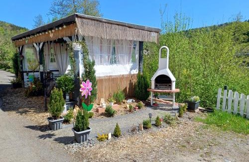 Finkenbach Apartment | Ferienwohnung zum Finkenbachtal