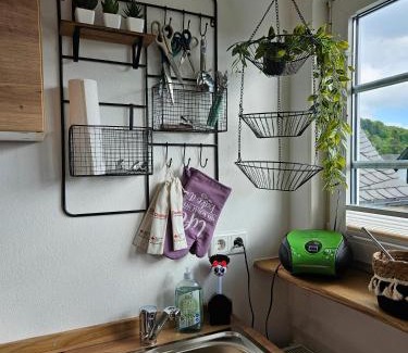Bad Fredeburg Apartment | Ferienwohnung zum Heubalken