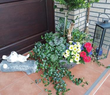 Wiesmoor Apartment | Ferienwohnung Zwei Finken In Wiesmoor