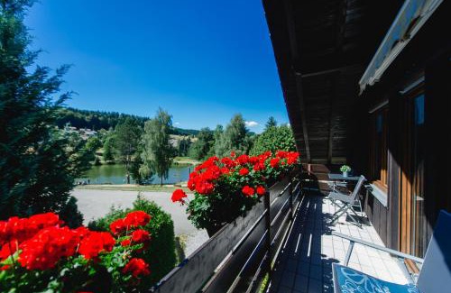 Herrischried Apartment | Ferienwohnungen Am Skilift