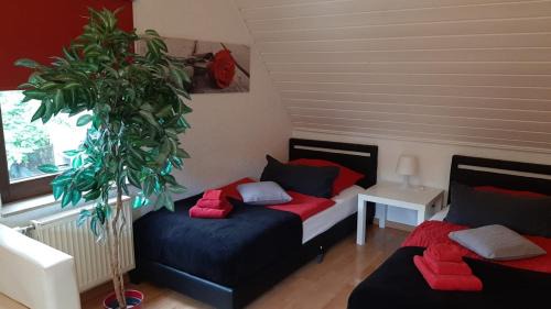 Calw Apartment | Ferienwohnungen Calwer Höfle
