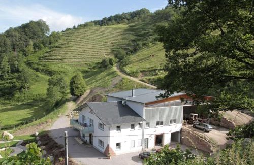 Oberkirch Apartment | Ferienwohnungen Giedensbach