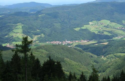 Oberharmersbach Apartment | Ferienwohnungen Golla-lang
