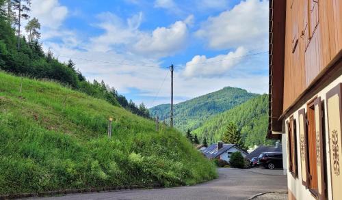 Oppenau Apartment | Ferienwohnungen Höflehof