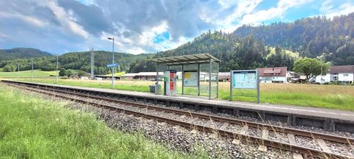 Oppenau Apartment | Ferienwohnungen Höflehof
