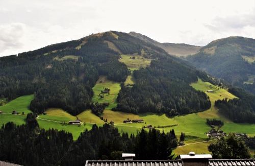 Alpbach Apartment | Ferienwohnungen H&P