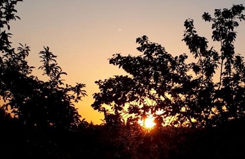 Obing Apartment | Ferienwohnungen Herbst