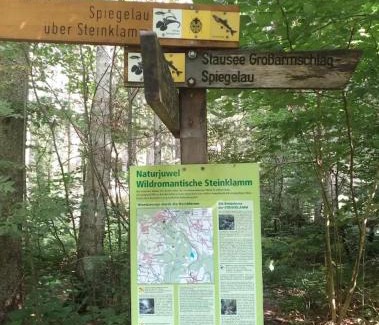 Eppenschlag Apartment | Ferienwohnungen Kremser bei Spiegelau Eppenschlag