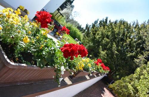 Unterallgau Apartment | Ferienwohnungen Kurhotel Eichinger