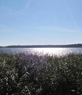 Wieck auf dem Darss Apartment | Ferienwohnungen Reetwinkel in Wieck