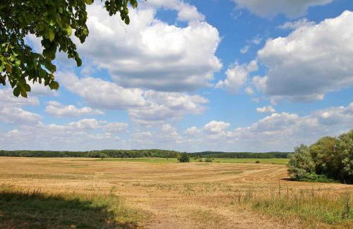 Roggentin Apartment | Ferienwohnungen Roggentin SEE 9740