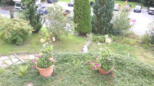 Bad Elster Apartment | Ferienwohnungen Villa Goldbrunnen