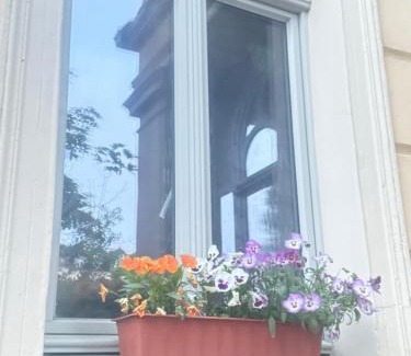 Weissenfels House | Ferienzimmer Healing und Montuerwohnung