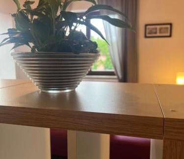 Kolitzheim Apartment | Ferienzimmer Moller