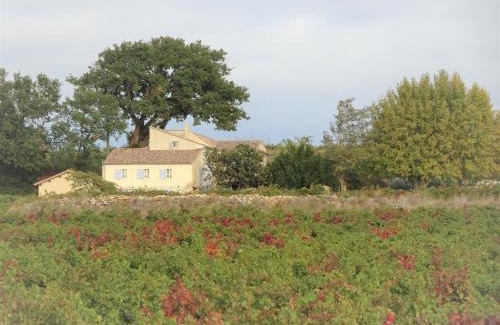 Chateauneuf-du-Pape Villa | Ferme de l'Arnesque