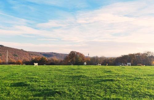 Spa Bed & Breakfast | Ferme de la Petite Fagne