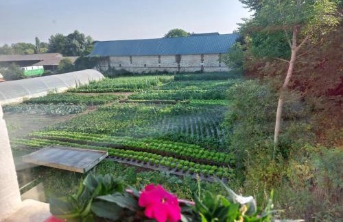 Quevillon Bed & Breakfast | Ferme de la rivière Bourdet