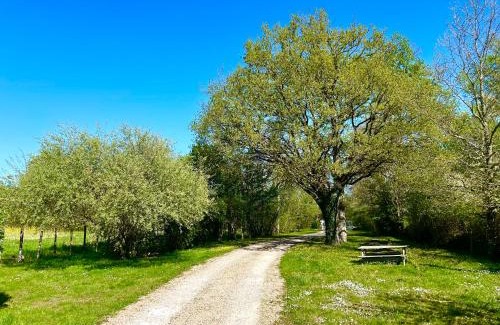 La Ferte-Saint-Cyr Bed & Breakfast | Ferme de Marpalu
