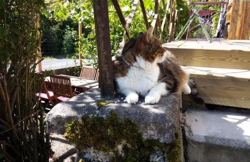 Bellegarde-en-Diois Bed & Breakfast | Ferme Des Montagnes Bleues