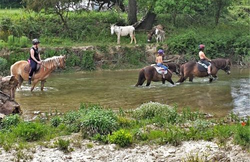 Lurs House | Ferme Equestre Les Coccinelles